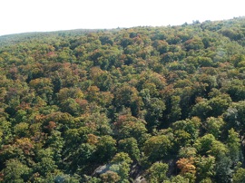 pour admirer les couleurs d'automne